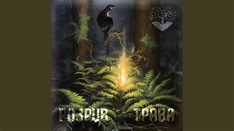 Розрив-трава - YouTube Music