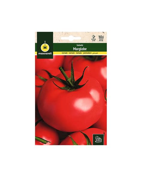 Semillas Tomate Marglobe