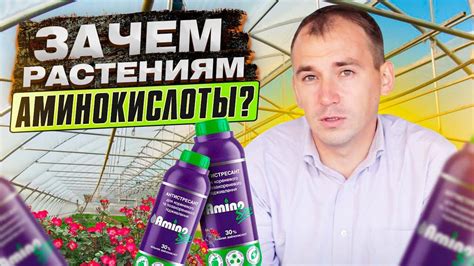 Зачем растениям аминокислоты? Как влияют аминокислоты на рост растений ...