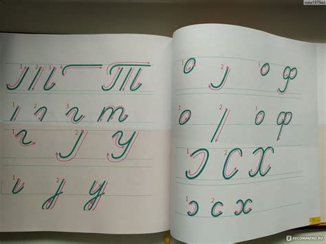 Скорописание. Как научить ребенка писать быстро и красиво. Шамиль ...