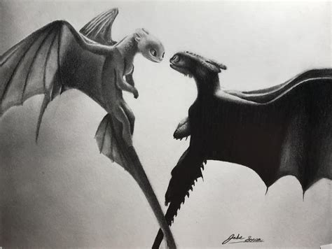 How To Draw Toothless And Light Fury - vrogue.co