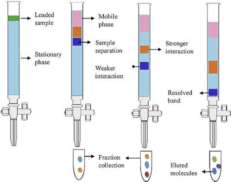 Differential Extraction Chromatography Principle Types And Applications