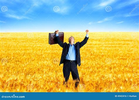 успех дела стоковое фото. изображение насчитывающей наслаждение - 4942416