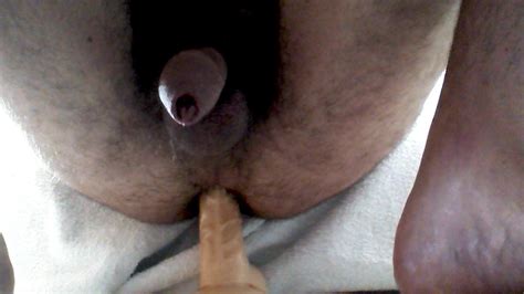 Dildo In Culo AmaPorn
