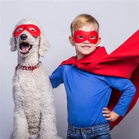 how to get your dog into modeling