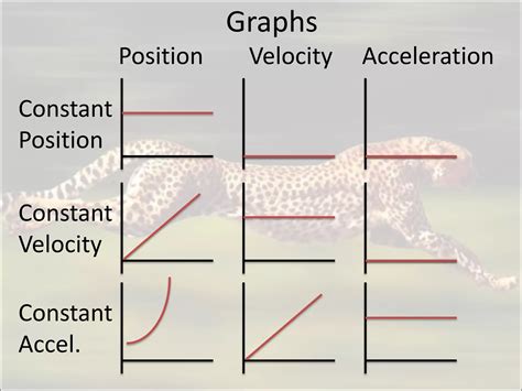 1D graphs, kinematics, and calculus | PPT