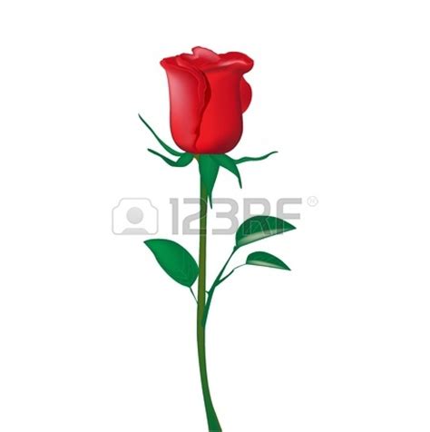 rose stem clipart 20 free Cliparts | Download images on Clipground 2024