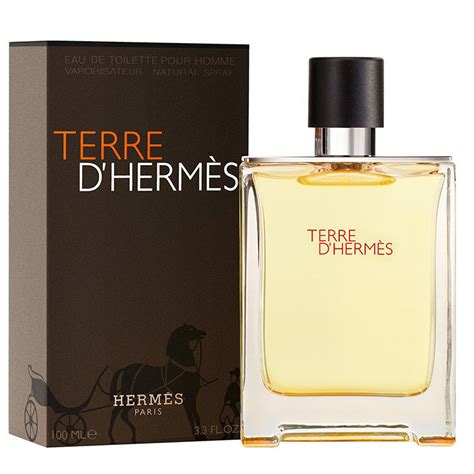 Terre D'Hermes by Hermes 100ml EDT | Perfume NZ