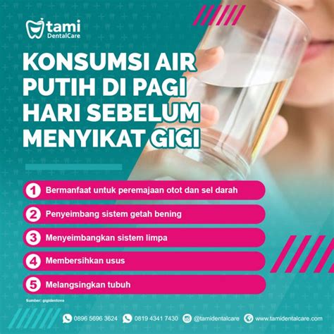 Manfaat Mengkonsumsi Air Putih Di Pagi Hari Sebelum Menyikat Gigi