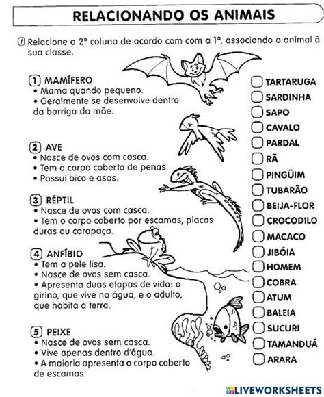 Atividades Sobre Animais Em Inglês 3 Ano