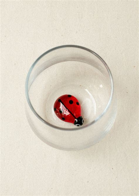 Ladybug Stemless Glass 