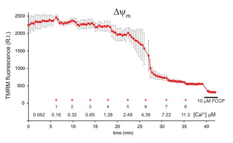 Simultaneous Measurement Of Mitochondrial Calcium And Mitochondrial