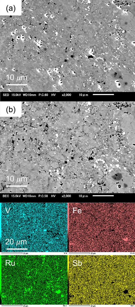 (a) SEM and (b) SEM-BEC images with elemental EDS maps of a selected ...