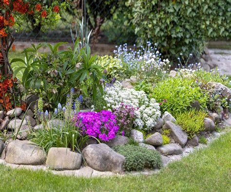 Rock garden plants: Top 10 varieties and how to grow them | Homes and ...