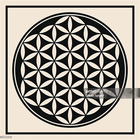 Flower Of Life Symbol High-Res Vector Graphic - Getty Images