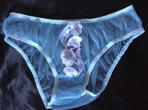 Sheer Nylon Bikini Panties Vintage Style