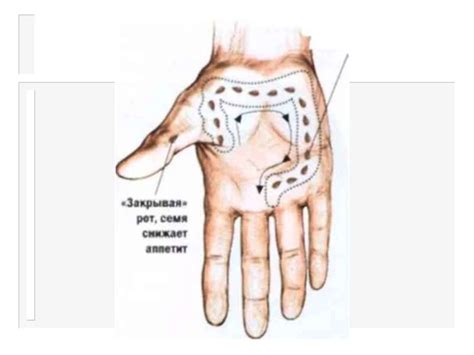Су-Джок терапия - презентация онлайн