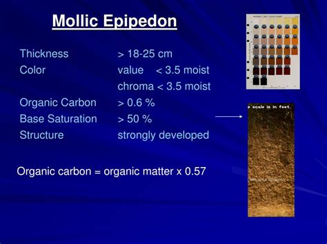 Ppt Soil Morphology And Classification Powerpoint Presentation Free