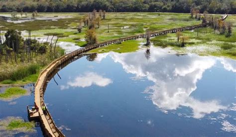 New Boardwalk Opening At Orlando Wetlands Park Orlando