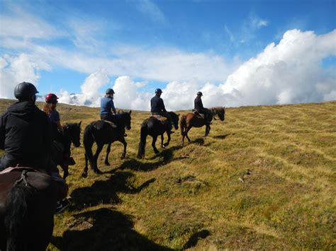 Tourisme équestre en Vals du Dauphiné ESSOR Isère