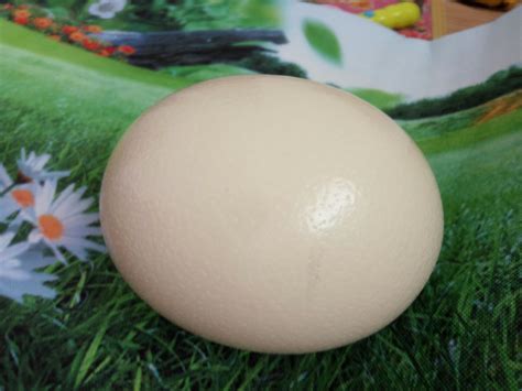 Купить Русские Яичная скорлупа страуса скорлупа высекая покрашенный ...