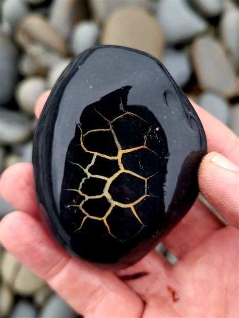 A Septarian Nodule From The Cliffs Of Moher Ireland Rgeology