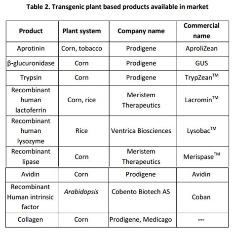 Types Of Biomolecules And Recent Examples