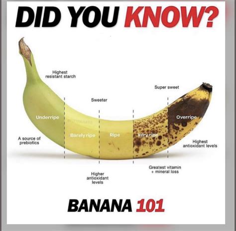 Everyone Loves Bananas. - Hammers Gym