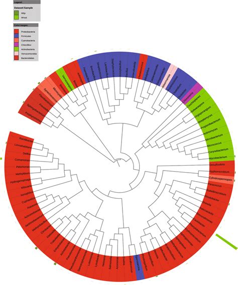 Phylogenetic Analysis Of Bacterial Operational Taxonomic Units Otus