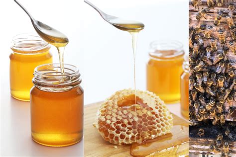fake honey   sweetest   earth turns foul