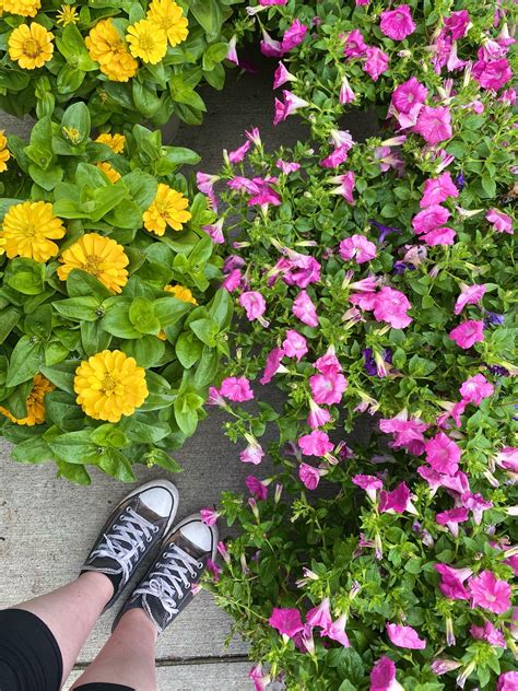 Quotes & Such on Tumblr