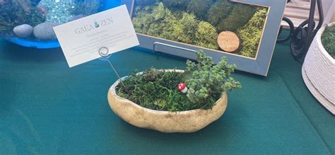 Naked Mushroom Succulent Terrarium Succulent Terrarium Mini Succulents Succulents