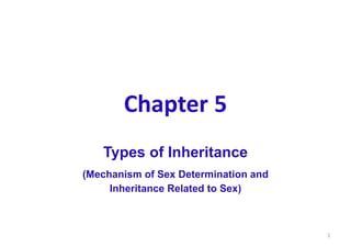 05 Sex Determination Cytoplasmic Inheritance 1 Pdf