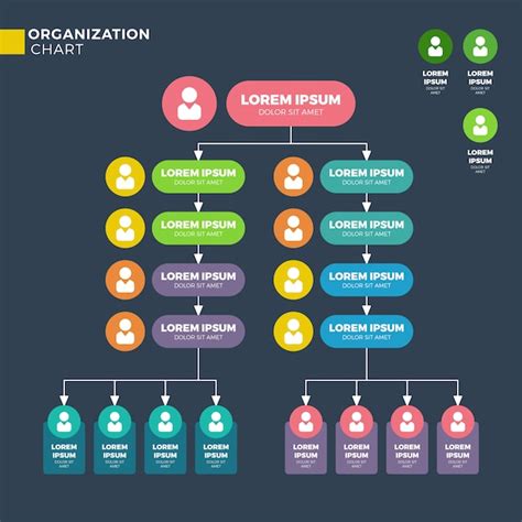 Organizational Structure Company Business Hierarchy Infographic Images 57330 Hot Sex Picture