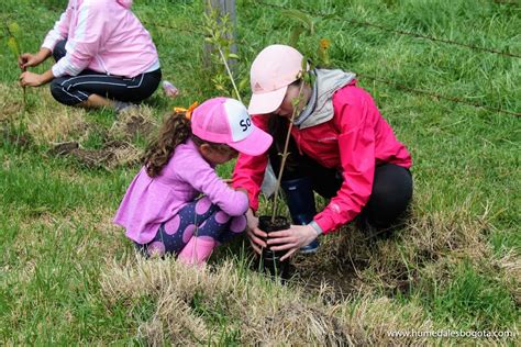 Jornada De Plantaci N De Rboles El Primero De Marzo Fundaci N