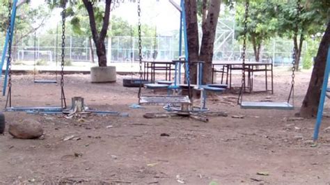 Nature Lonely Fitness Gym Equipment Forest Stock Footage Video (100%