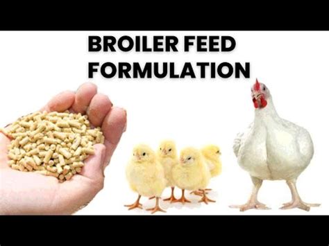 Poultry Feed Formulation For Broilers YouTube