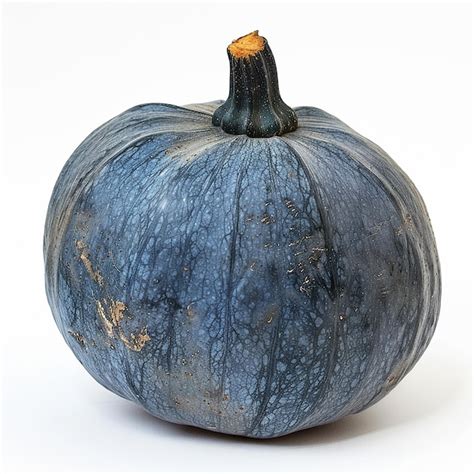 premium photo fresh blue hubbard squash isolated  white background