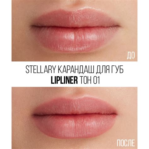 Карандаш для губ STELLARY LIPLINER тон Nude rose купить в интернет магазине косметики