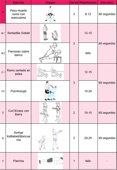 ️ Rutina De Entrenamiento Para Mujeres Principiantes Aprende A Entrenar En El Gimnasio