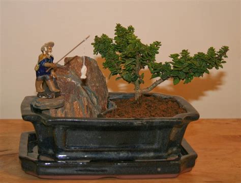 Yoji Bonsai Canada