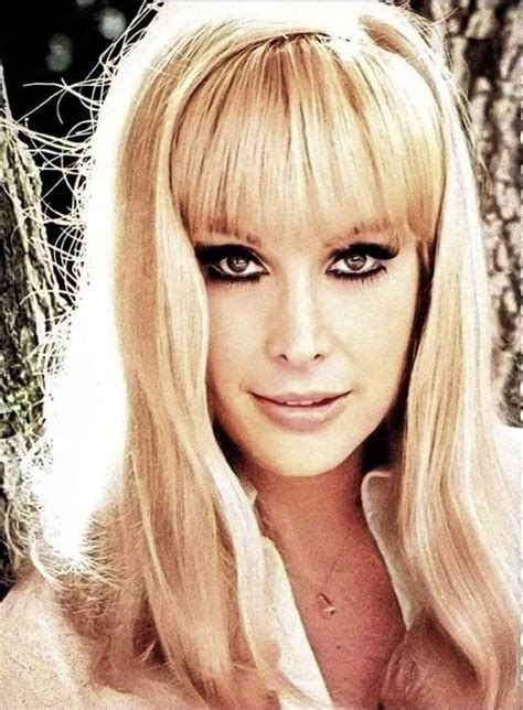 Pin By Keith Yates On Barbara Eden Barbara Eden Blonde Beauty Beautiful Actresses