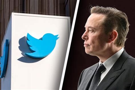 Elon Musk Renunciará Como Director Ejecutivo De Twitter