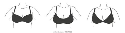 Different Types Bras Collection Lingerie Vector Stock Vector Royalty Free 1986892421