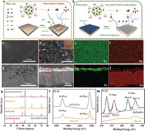 Illustrations Of Zincstripping Plating Behaviors On Bare Zn Foil And