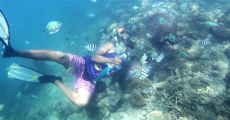 Lombok Snorkeling Trip Gili Nanggu Sudak Kedis Getyourguide