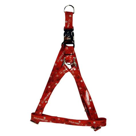 Envy Wild Forever Dog Harness - Catac