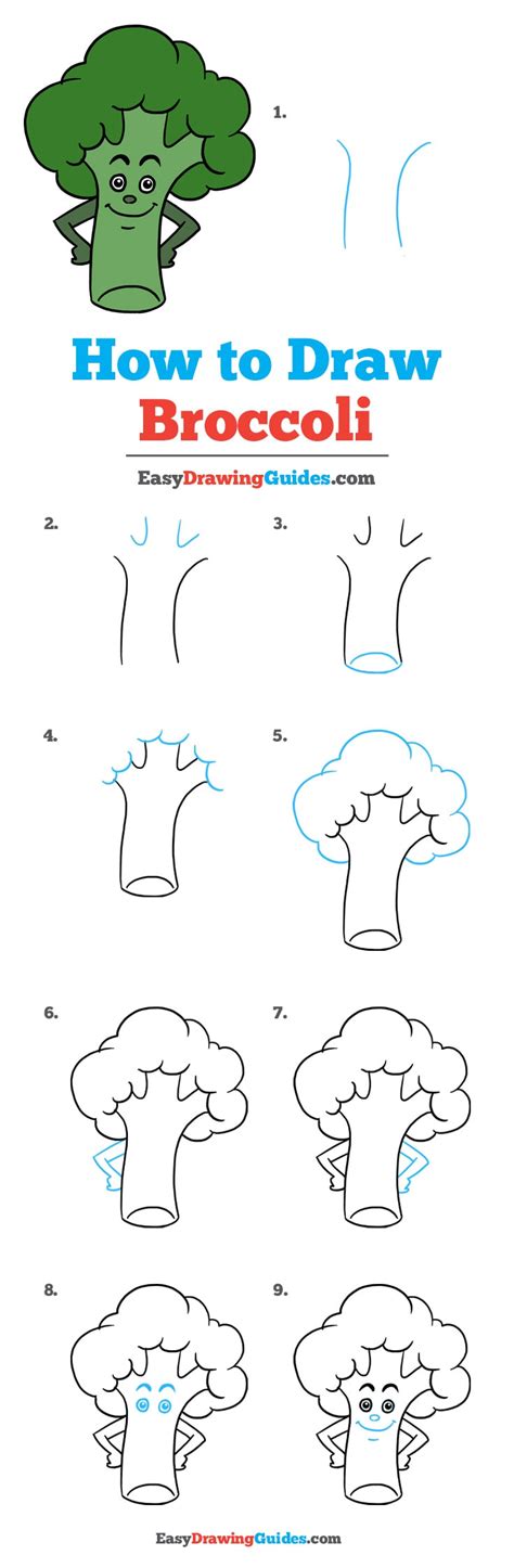 How to Draw Broccoli - Really Easy Drawing Tutorial