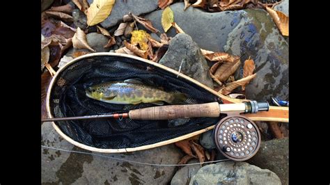 Fly Fishing Tioga County Pa Fall 2015 Youtube