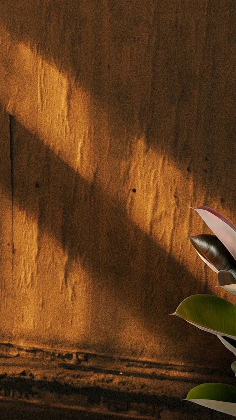 burgundy wood wallpaper background images   png stickers